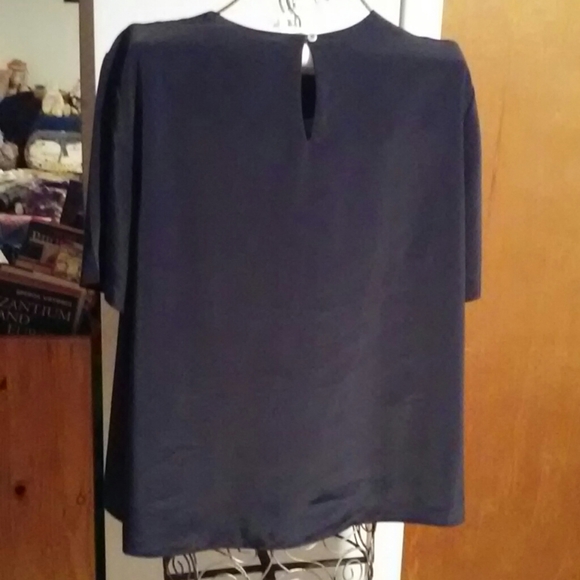 Large Satiny Shirt Sleeve Blouse - Picture 2 of 4